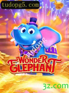 Descubra o Mundo Maravilhoso de WonderElephant